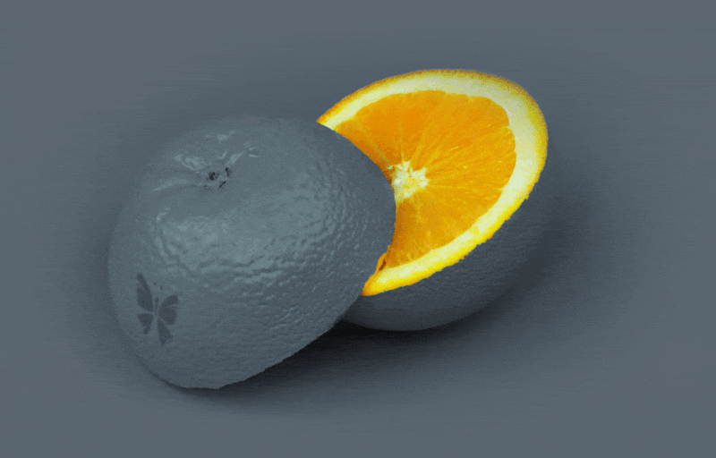 grey-orange-anim